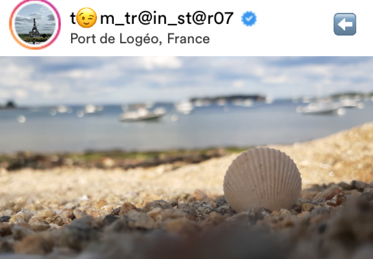 Les postings Instagram 